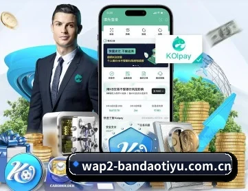 半岛体育app下载 APP