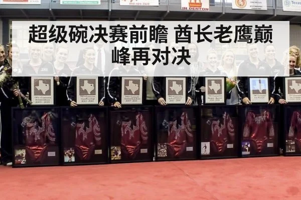 超级碗决赛前瞻 酋长老鹰巅峰再对决
